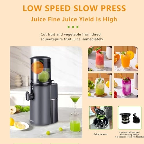Masticating Juicer - 350W