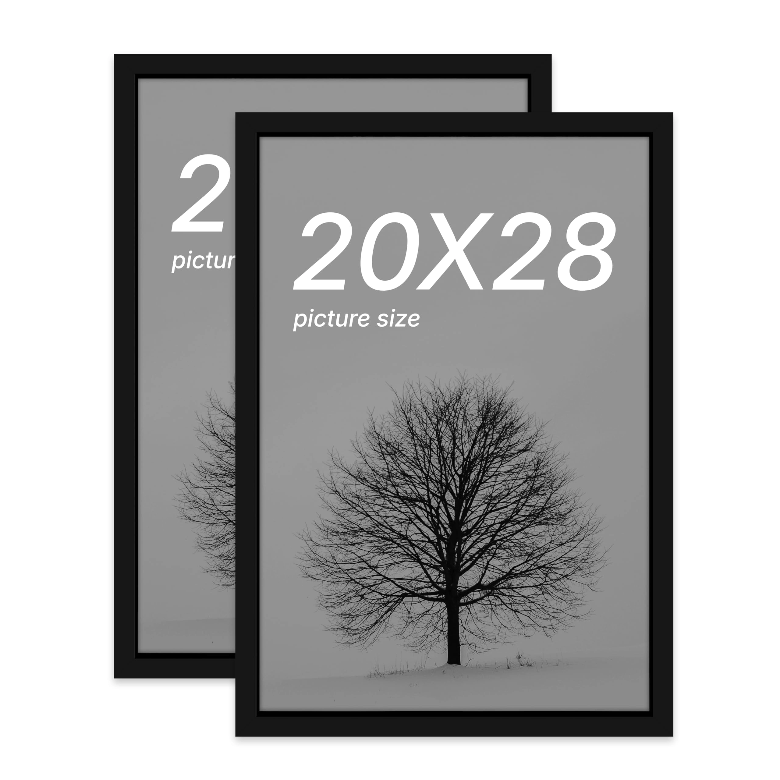 Document Frame - 20x28 Inch