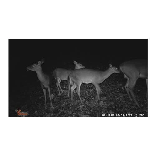 Terra Extreme - 14 megapixel