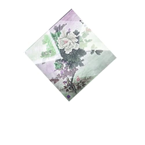 Screen Protector - Camera