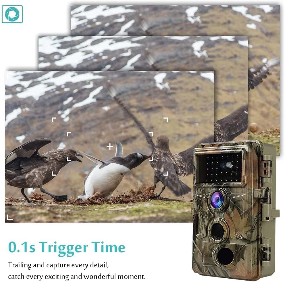 Wildlife Camera - 32MP