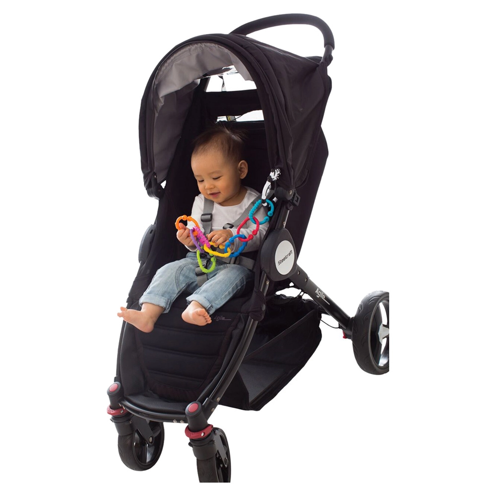 Zebra Links - 6 months