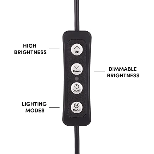 LuMee Studio - 4 Inch