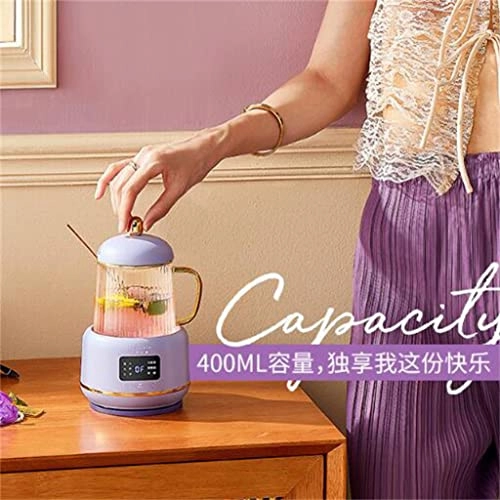 Temperature Control Smart Kettle