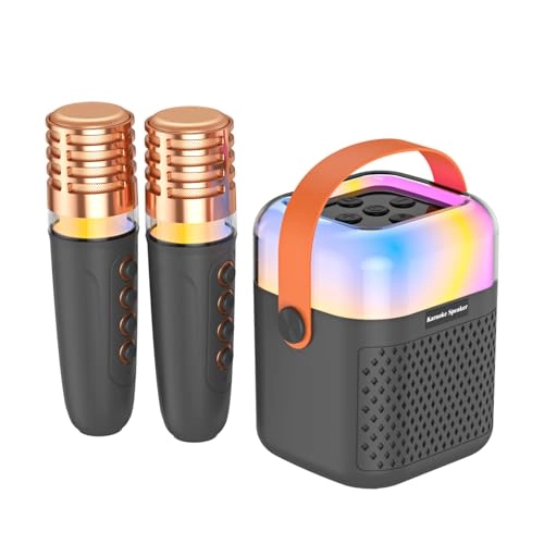 Karaoke Machine - 2 15W