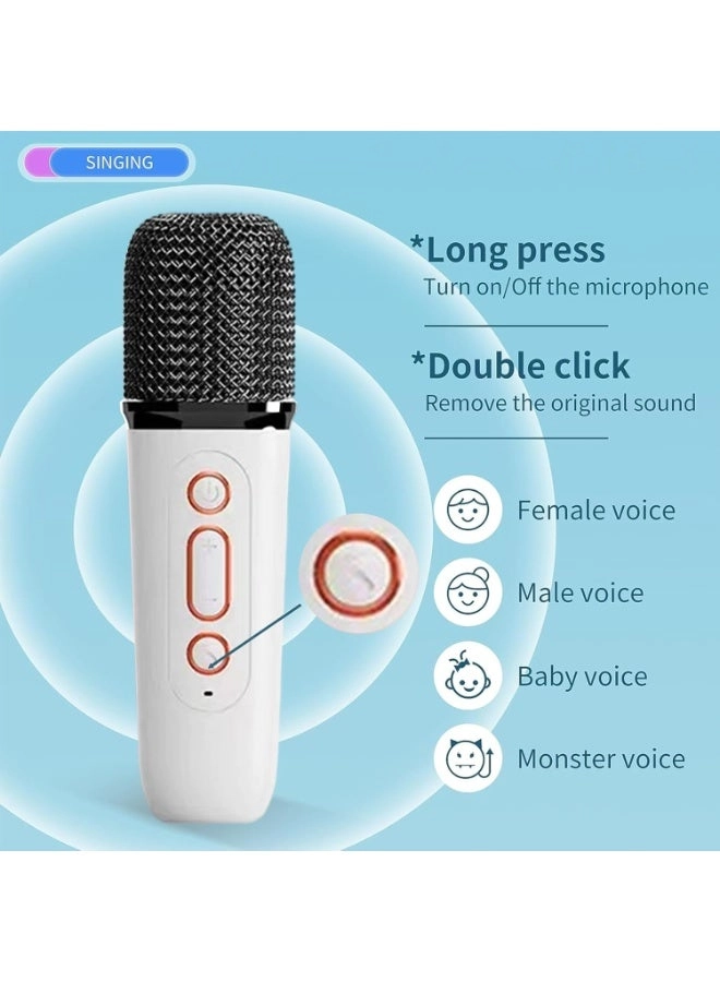 Portable Bluetooth Speaker - 2 handheld, rechargeable wireless microphones