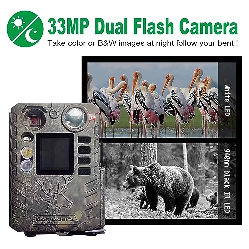 Trail Cam - 33MP