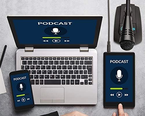 WordSentry 3.5mm-Mini-Jack Microphone