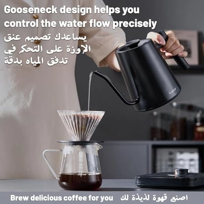 Temperature Control Gooseneck Electric Kettle