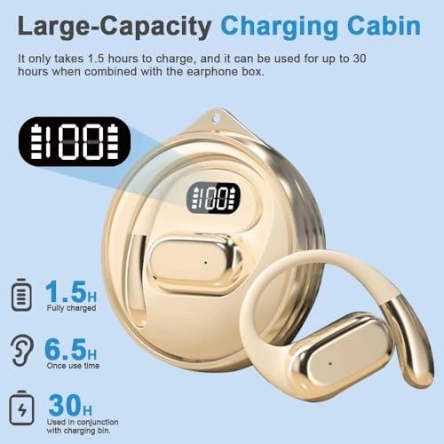 PZ8869 Wireless Earbud