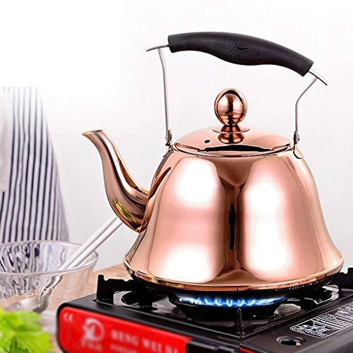 Stovetop Induction Whistling Kettle - 5L