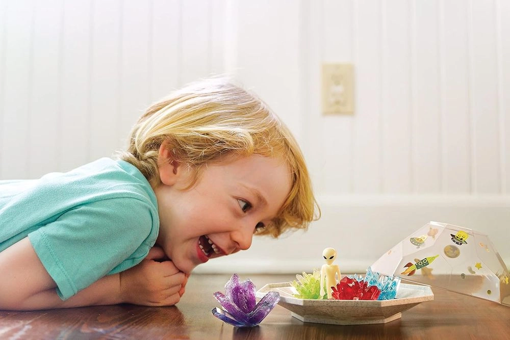 Crystal Growing Terrarium - Chemistry Geology