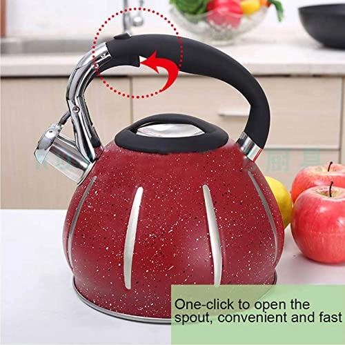 Stovetop Induction Whistling Kettle - 5L