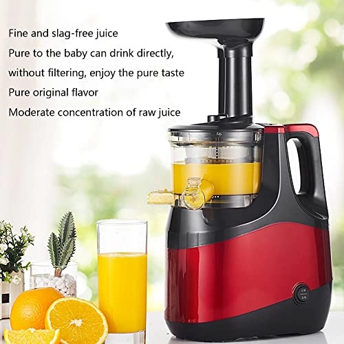 DASIZHOU - 180W 300 Milliliters