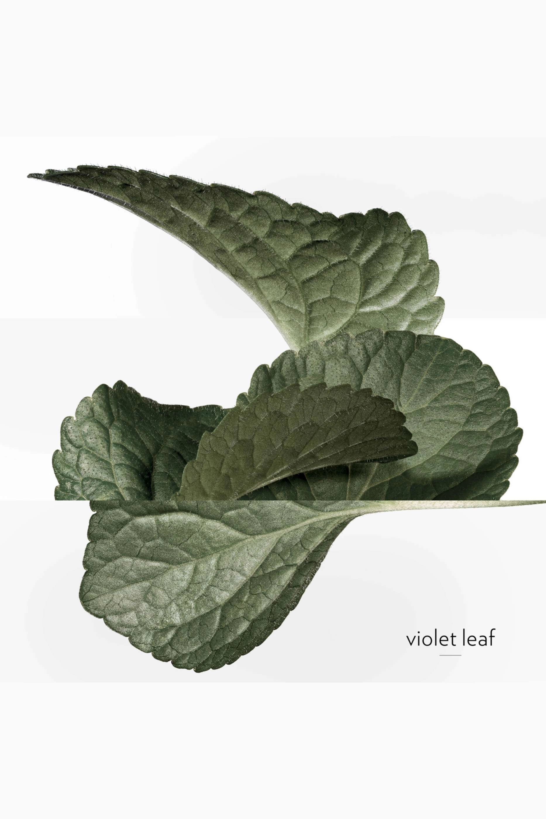 Violette Volynka Eau de Toilette 100ml