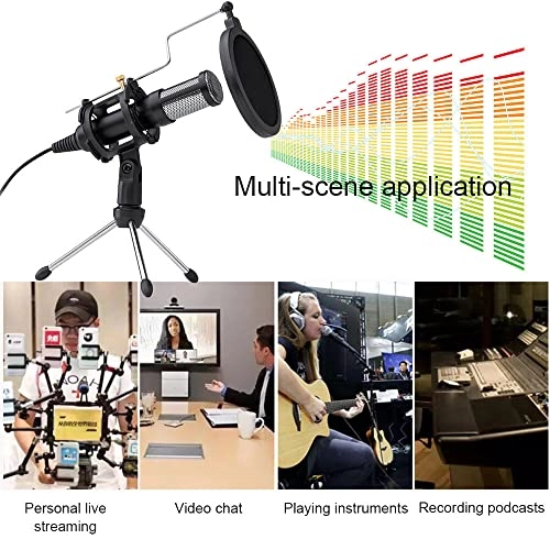 SK-30 USB Microphone