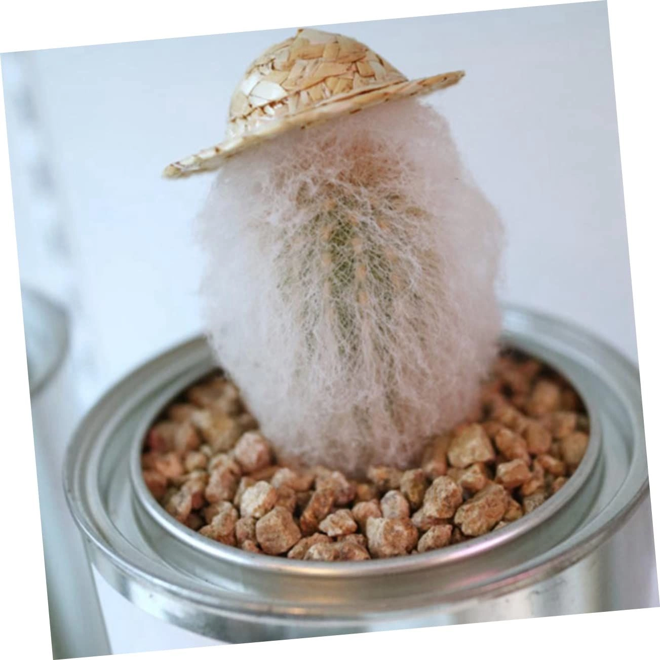 Mini Woven Straw Hats - 6Pcs 8X8cm
