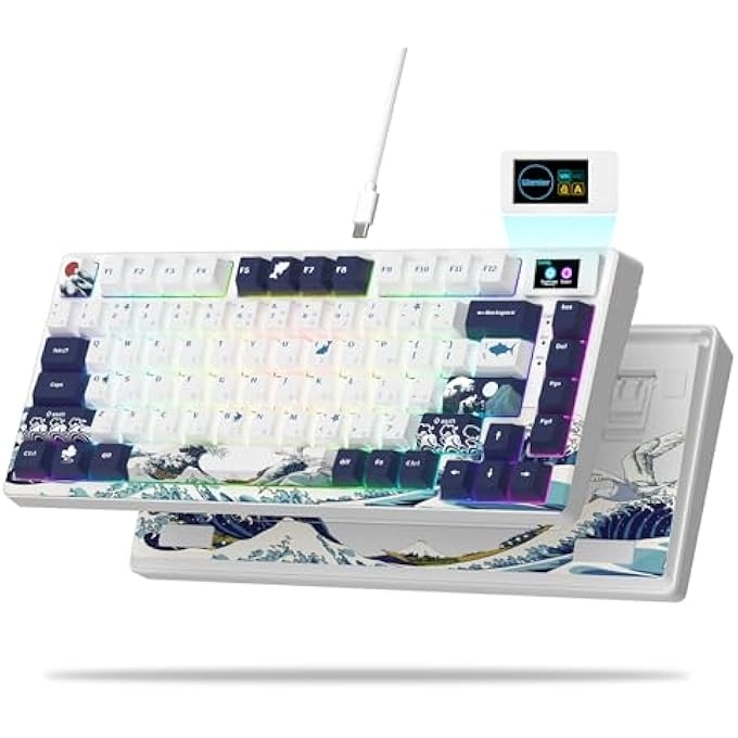 rayihni S-K80 - Wired