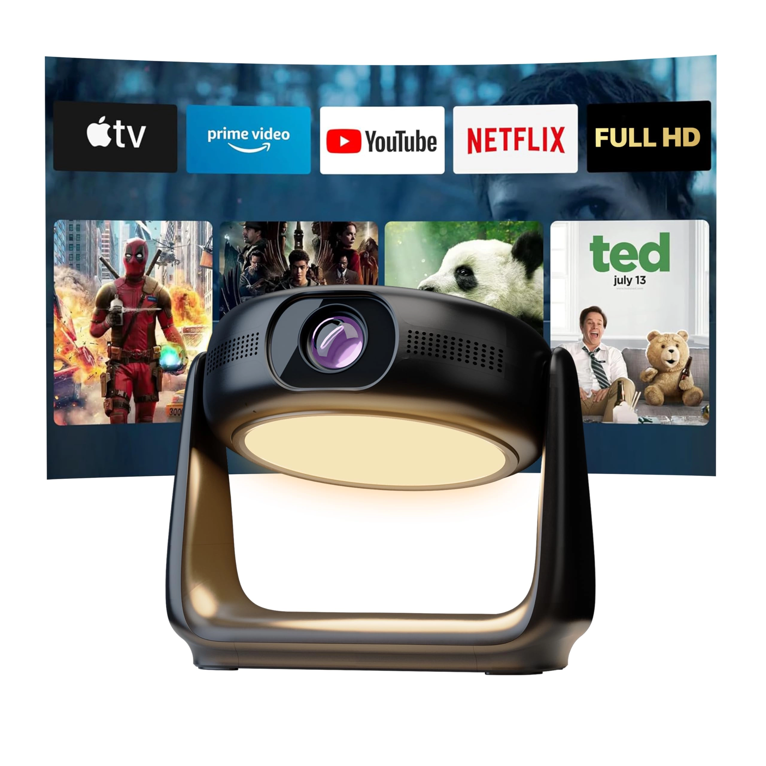 PWHDPBNBK 300 ANSI Lumens