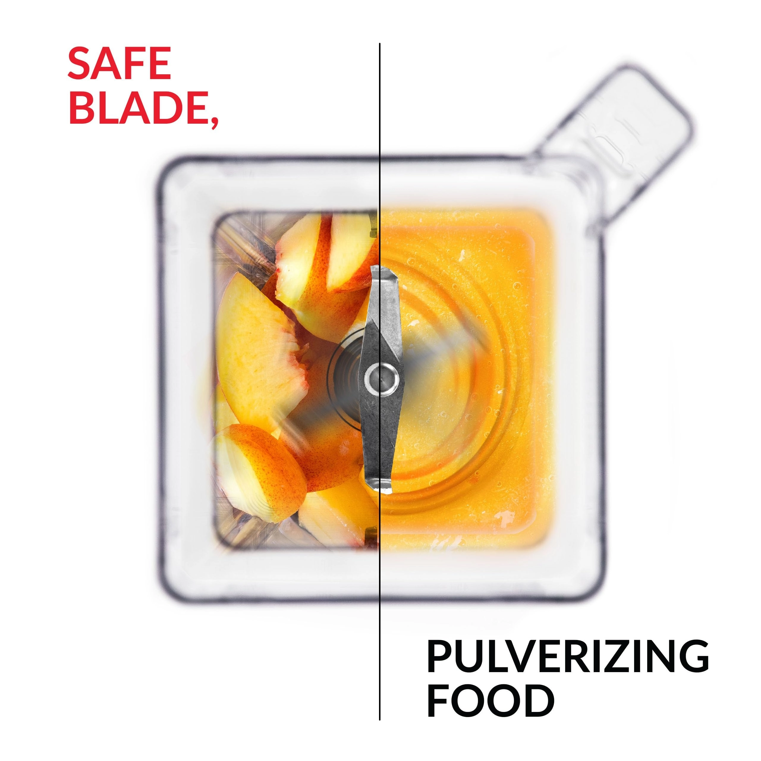 TD43PA01-UAE1AP1D - Wildside plus jar Stainless Steel blades