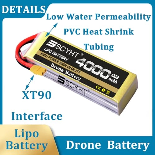 Lipo Battery - 4000mAh