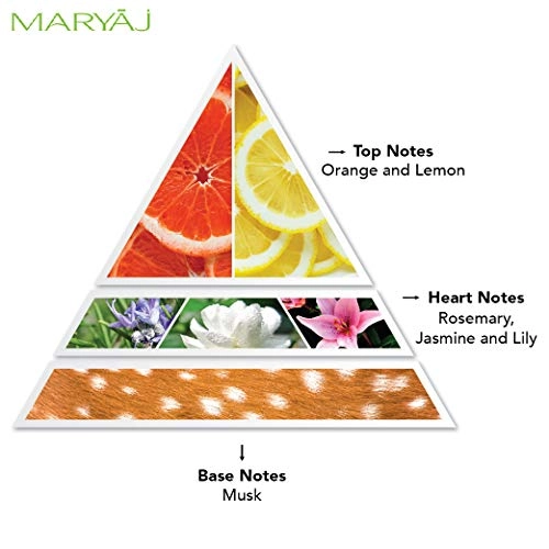 Fresh Wave For Men - Eau de Parfum 100 ml