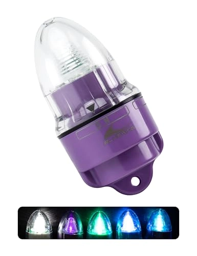 Bell Deep Drop Light