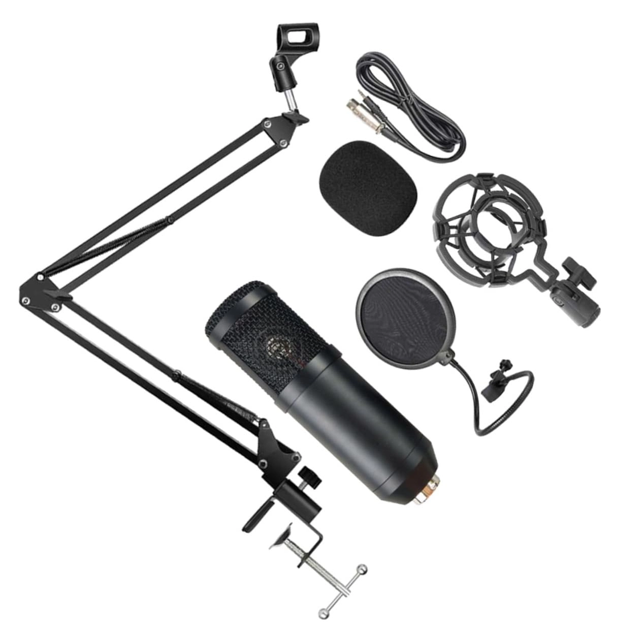 CORHAD Multipurpose Wireless Microphone