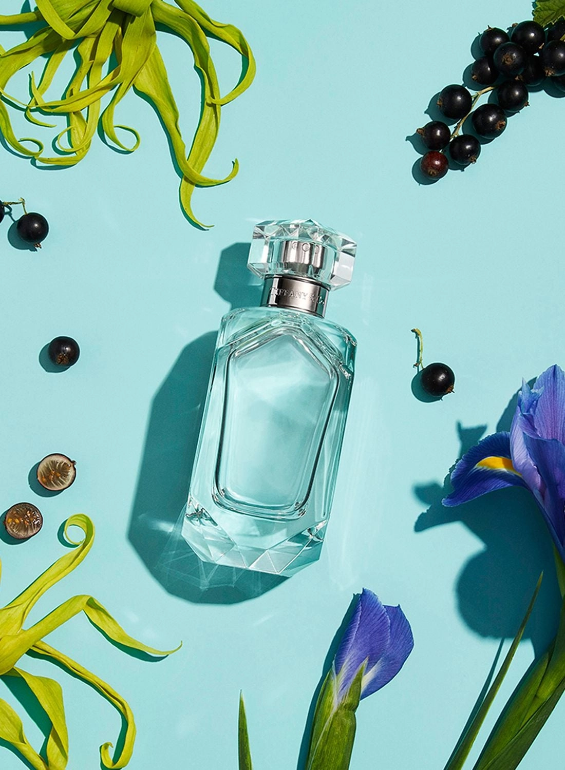 Sheer Eau de Toilette 50ml