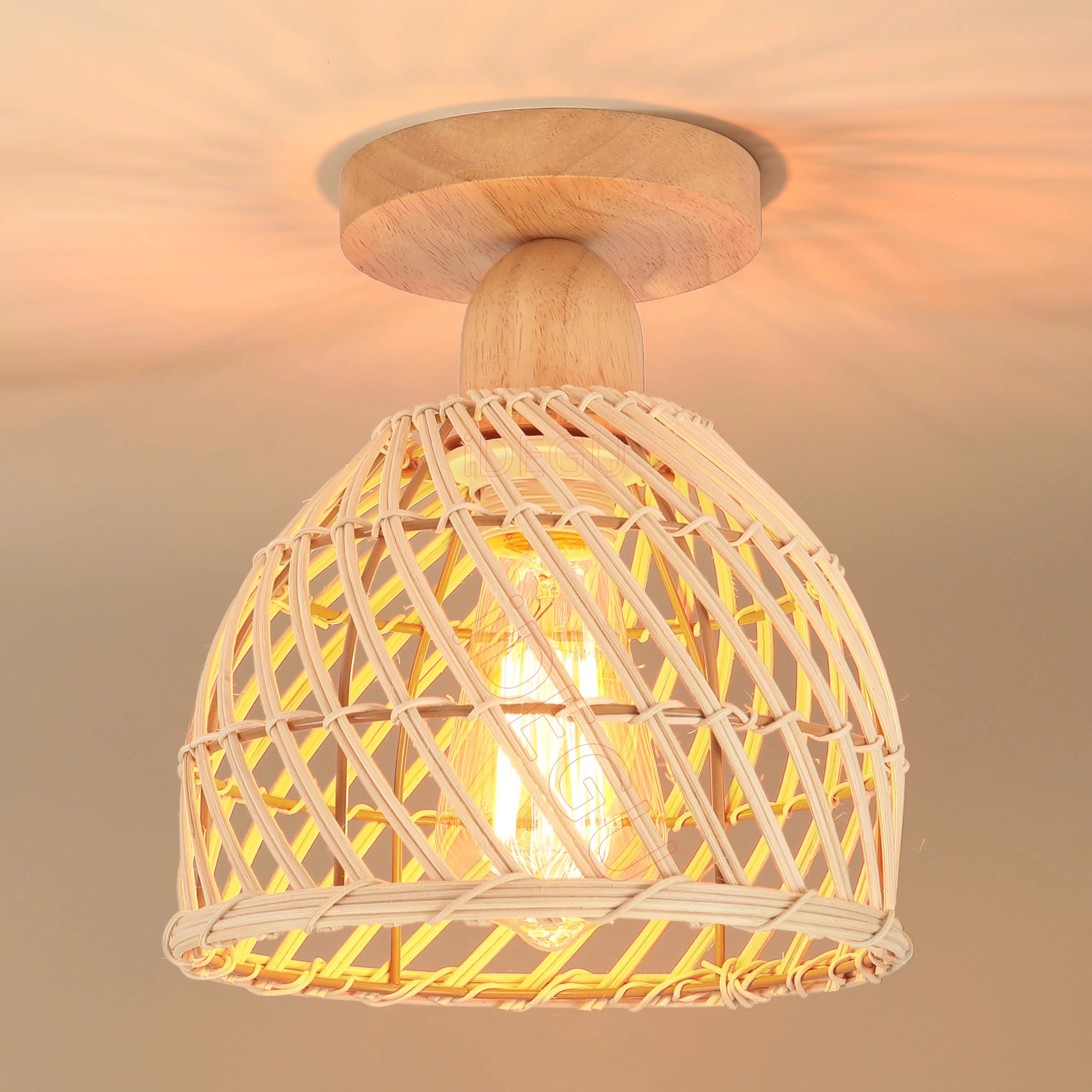 Retro Rattan and Wood Bohemian Design Ceiling Light