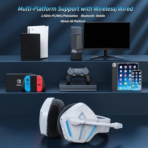 BW01-BT Wireless Headset