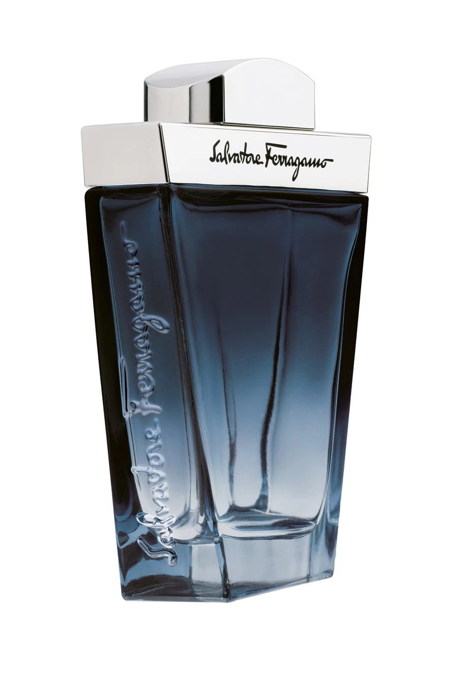 Salvatore Ferragamo Subtil Eau de Toilette 100ml