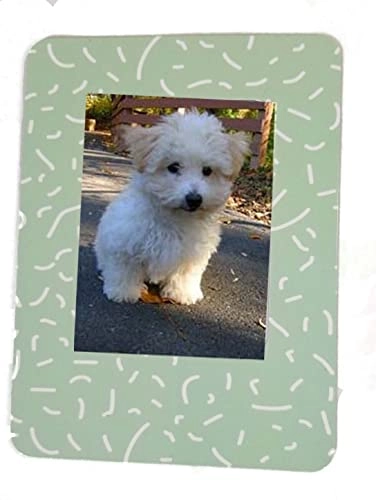 Instax Mini 12 Bundle