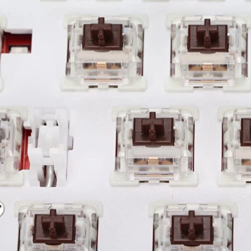 Mechanical Keyboard - Compact Wired/Wireless