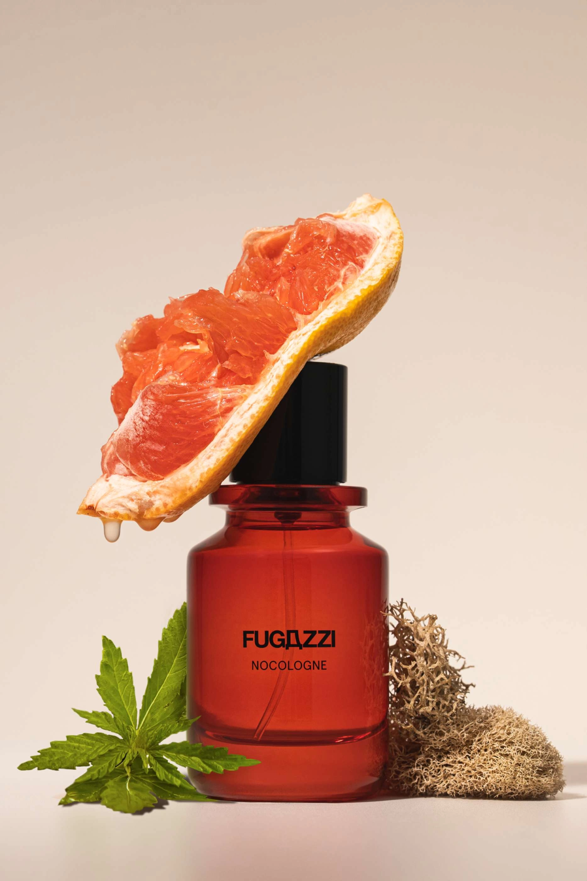 Nocologne Extrait De Parfum - 100ml