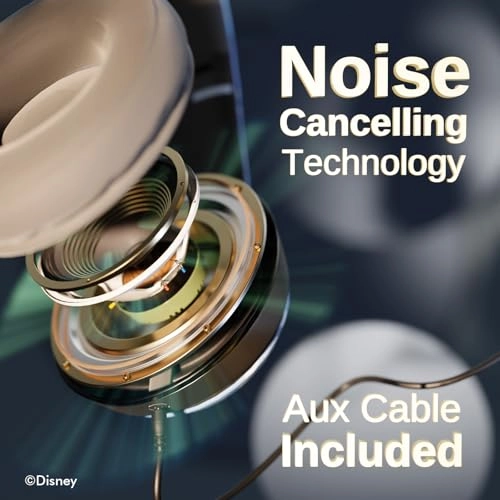 RM Wireless Headphone