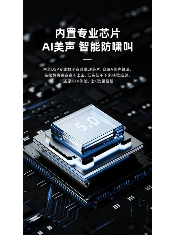 YS-207 - Dual Microphones