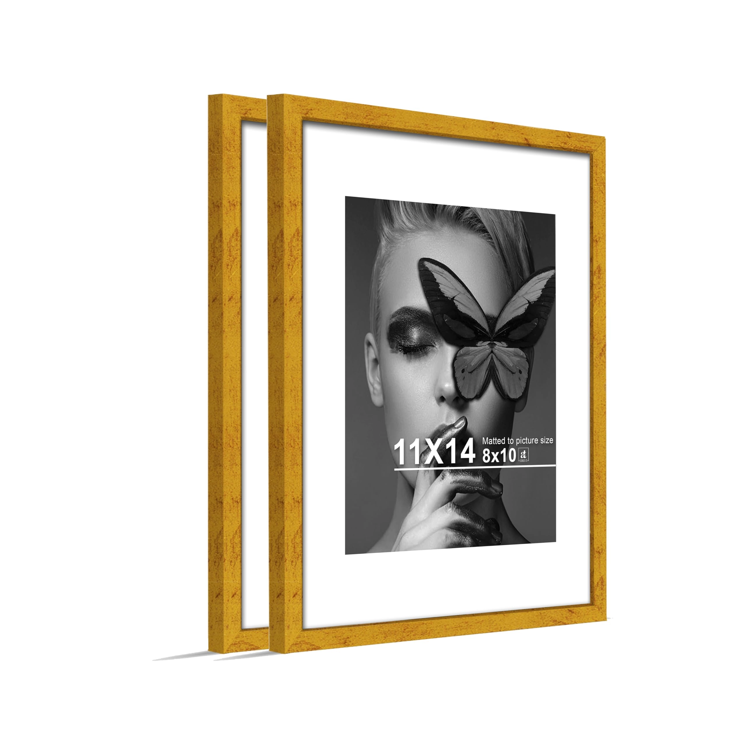 Document Frame - 11x14 Inch