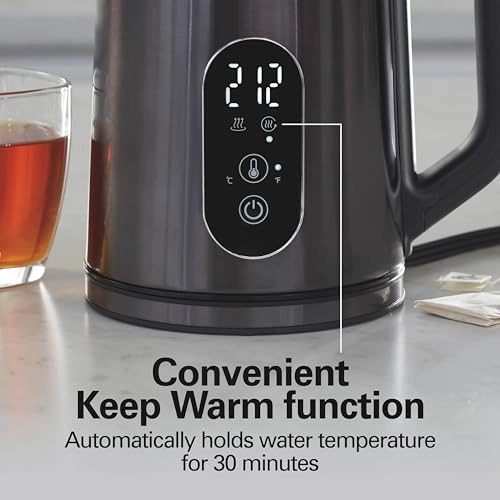 Digital Temperature Control 40851