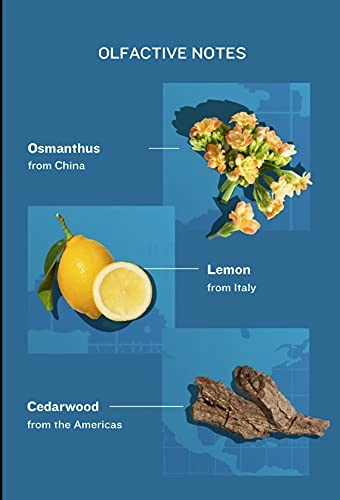 Love Osmanthus - 1 Fluid Ounces