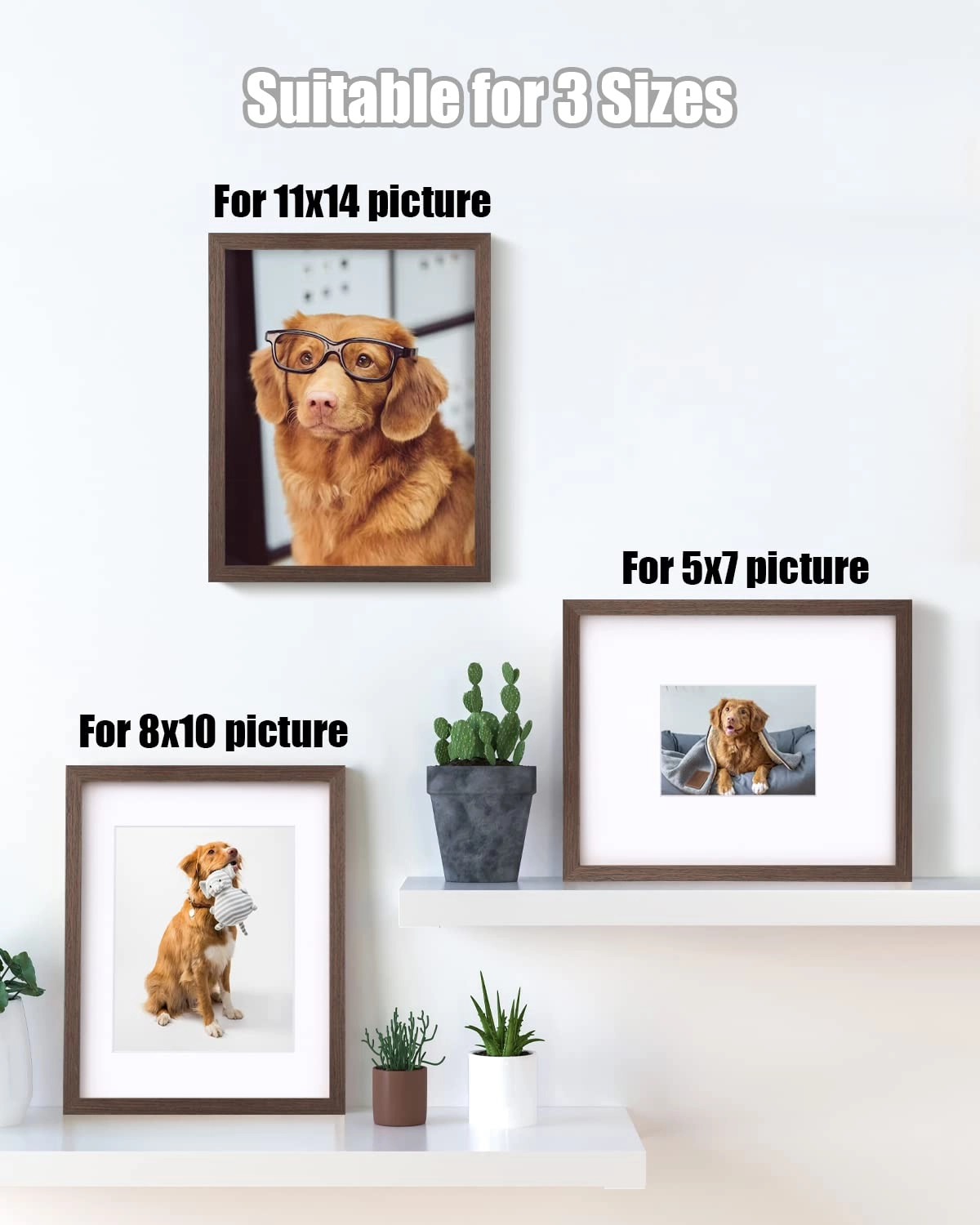 14x11 Picture Frames - 35.6x27.9cm
