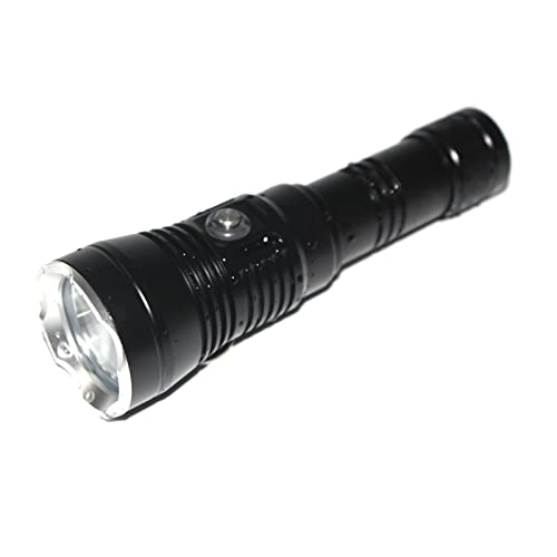Professional Submersible Light
