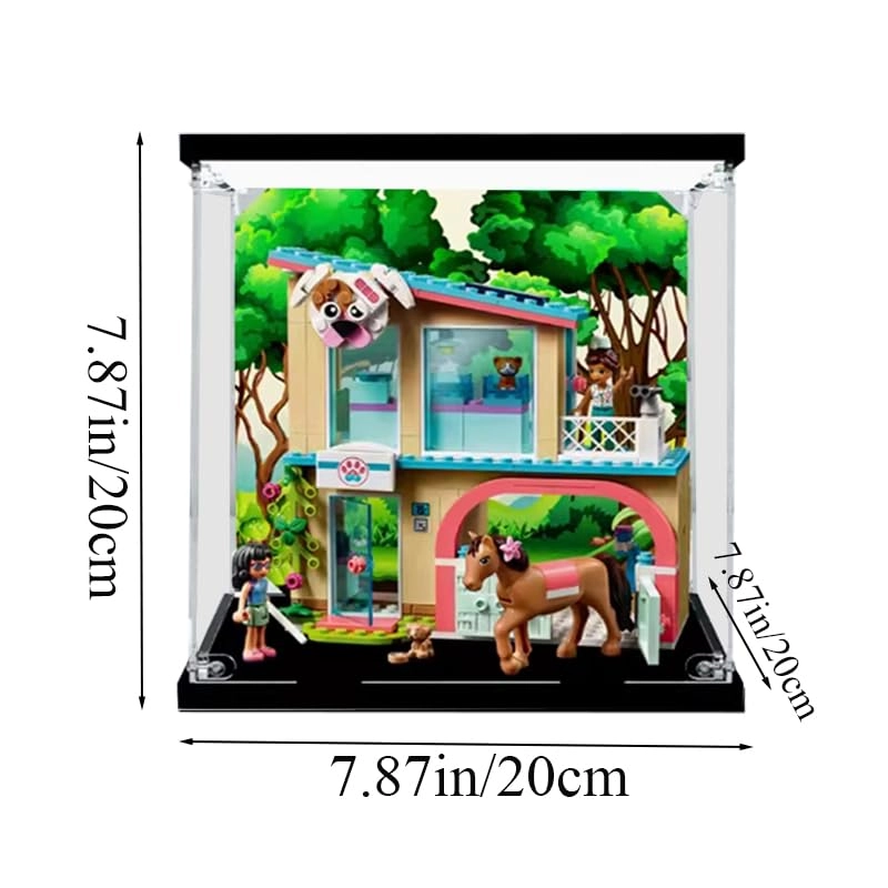Acrylic Display Case (41446)