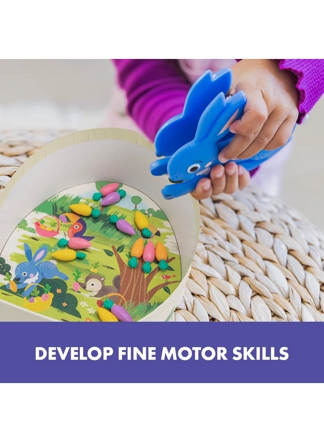 Hoppy Floppy's Happy Hunt - 3+