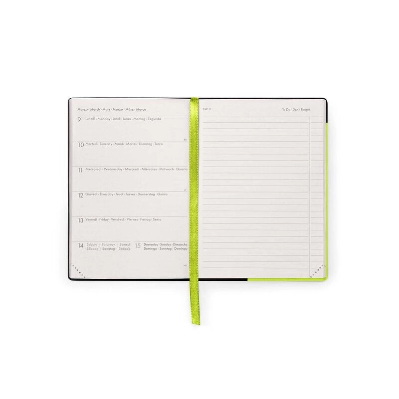 16-Month Diary