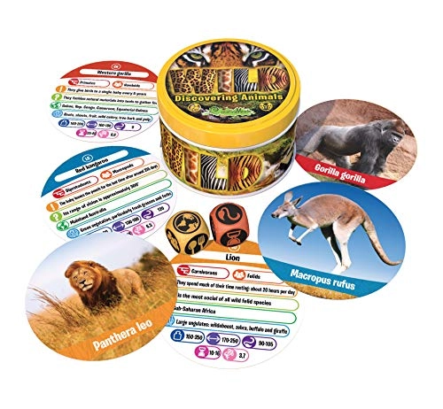 Wild-Box Game - 5 years and up