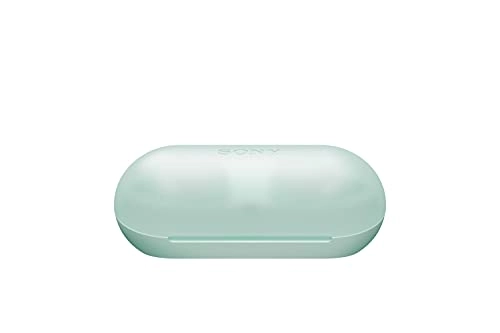 WFC500G Wireless Headphone