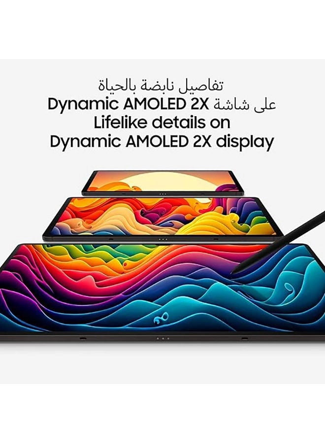 Galaxy Tab S9 Ultra - 1000GB 14.6"