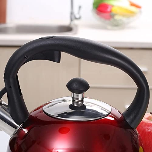 Stainless Steel Kettle - 2.5L
