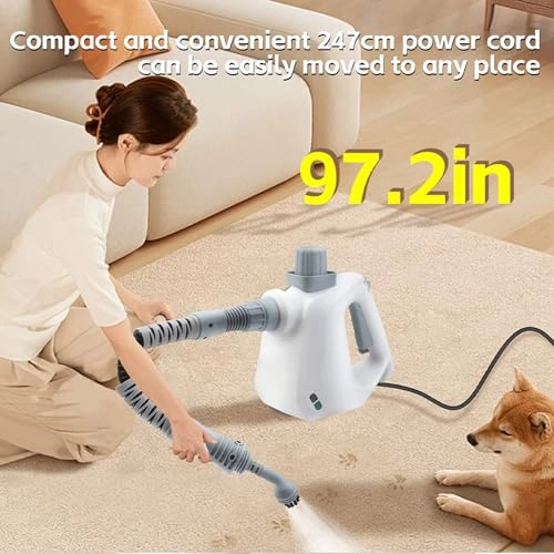 Steam Cleaner
